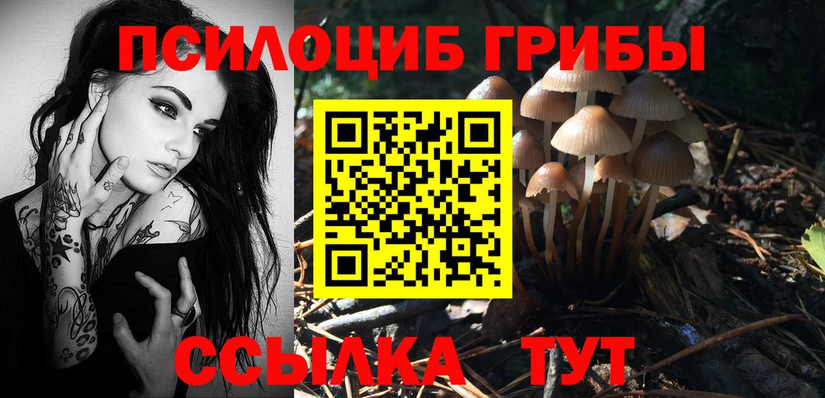 Псилоцибиновые грибы ЛСД Шадринск